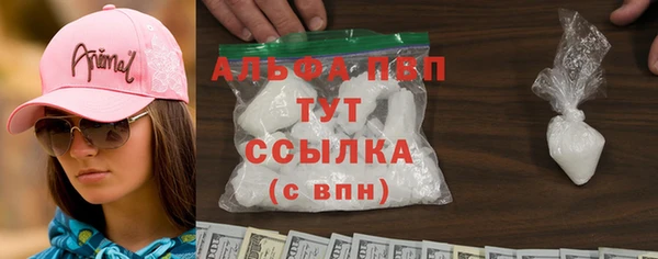твердый Аркадак