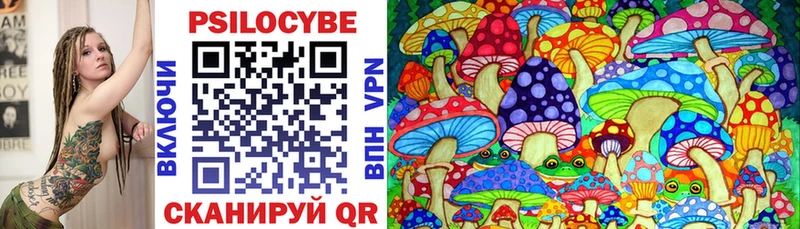 Псилоцибиновые грибы прущие грибы  Приволжск 
